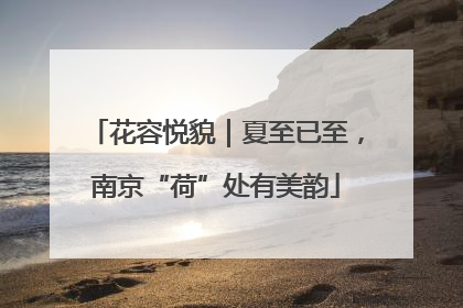 花容悦貌｜夏至已至，南京“荷”处有美韵