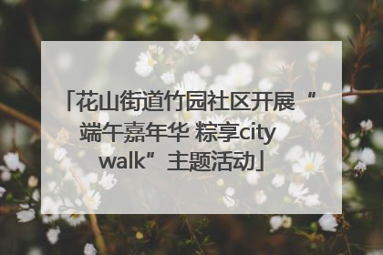 花山街道竹园社区开展“端午嘉年华 粽享city walk”主题活动