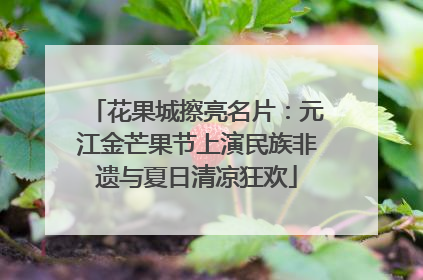 花果城擦亮名片：元江金芒果节上演民族非遗与夏日清凉狂欢