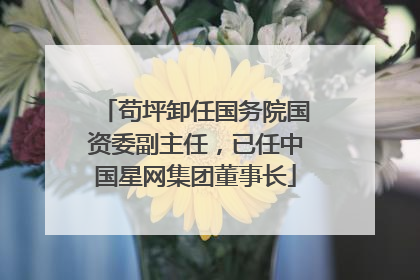 苟坪卸任国务院国资委副主任，已任中国星网集团董事长