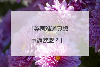 英国难道真想重返欧盟？