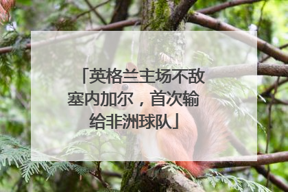 英格兰主场不敌塞内加尔，首次输给非洲球队