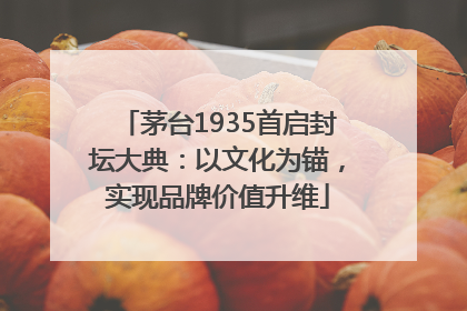 茅台1935首启封坛大典：以文化为锚，实现品牌价值升维