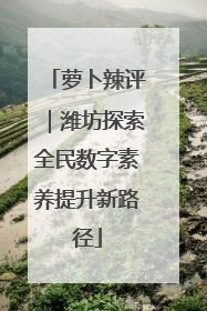 萝卜辣评｜潍坊探索全民数字素养提升新路径