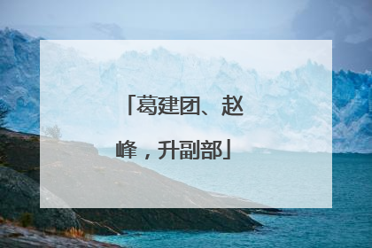 葛建团、赵峰，升副部