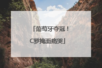 葡萄牙夺冠！C罗掩面痛哭