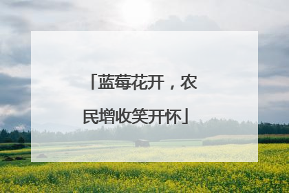 蓝莓花开，农民增收笑开怀