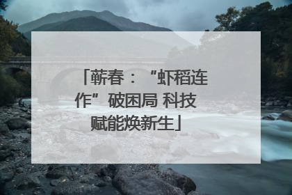 蕲春：“虾稻连作”破困局 科技赋能焕新生