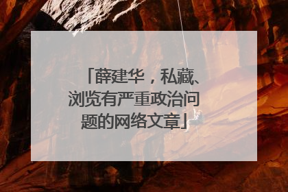 薛建华，私藏、浏览有严重政治问题的网络文章