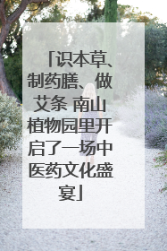 识本草、制药膳、做艾条 南山植物园里开启了一场中医药文化盛宴