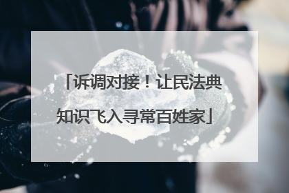 诉调对接！让民法典知识飞入寻常百姓家