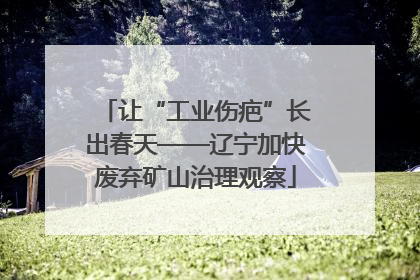 让“工业伤疤”长出春天——辽宁加快废弃矿山治理观察