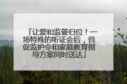 让爱和监管归位！一场特殊的听证会后，督促监护令和家庭教育指导方案同时送达