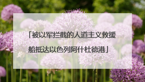 被以军拦截的人道主义救援船抵达以色列阿什杜德港