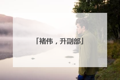 褚伟，升副部