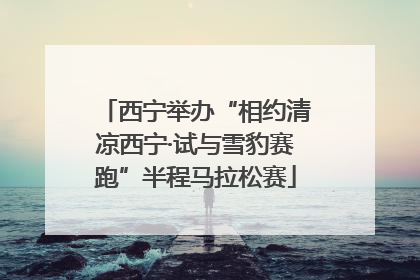 西宁举办“相约清凉西宁·试与雪豹赛跑”半程马拉松赛