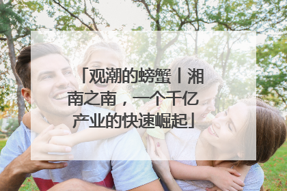 观潮的螃蟹丨湘南之南，一个千亿产业的快速崛起