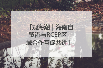 观海潮｜海南自贸港与RCEP区域合作互促共进