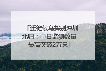迁徙候鸟挥别深圳北归：单日监测数量最高突破2万只