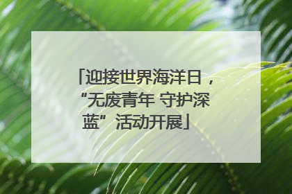 迎接世界海洋日，“无废青年 守护深蓝”活动开展