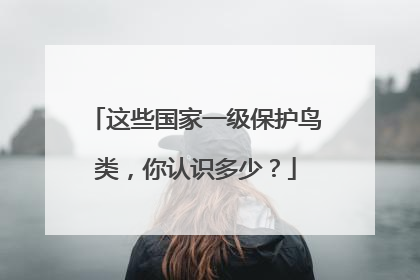 这些国家一级保护鸟类，你认识多少？