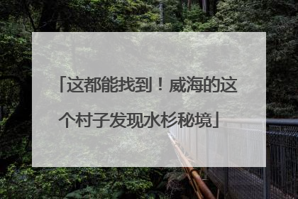 这都能找到！威海的这个村子发现水杉秘境