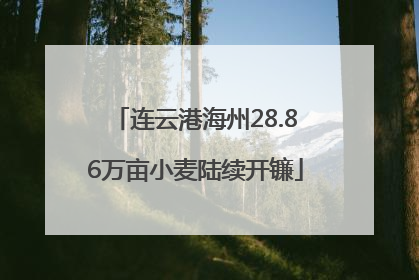 连云港海州28.86万亩小麦陆续开镰