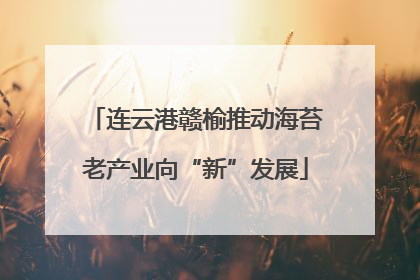 连云港赣榆推动海苔老产业向“新”发展
