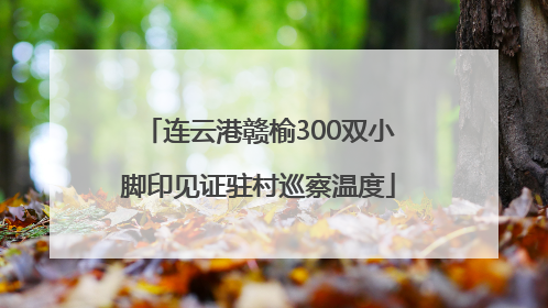 连云港赣榆300双小脚印见证驻村巡察温度