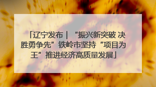 辽宁发布｜“振兴新突破 决胜勇争先”铁岭市坚持“项目为王”推进经济高质量发展