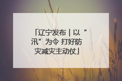 辽宁发布｜以“汛”为令 打好防灾减灾主动仗