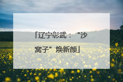 辽宁彰武：“沙窝子”焕新颜