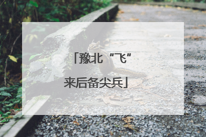 豫北“飞”来后备尖兵