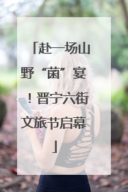 赴一场山野“菌”宴！晋宁六街文旅节启幕