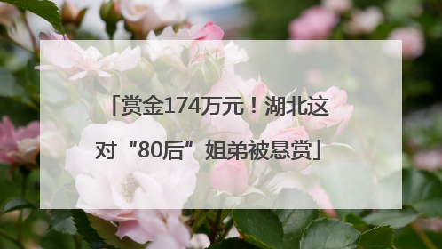 赏金174万元！湖北这对“80后”姐弟被悬赏