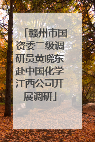 赣州市国资委二级调研员黄晓东赴中国化学江西公司开展调研
