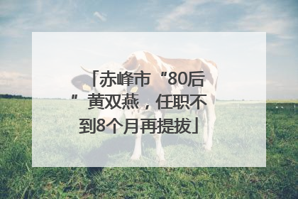 赤峰市“80后”黄双燕，任职不到8个月再提拔