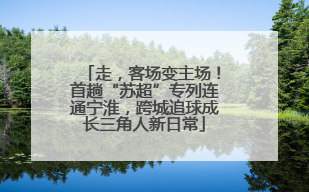 走，客场变主场！首趟“苏超”专列连通宁淮，跨城追球成长三角人新日常