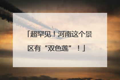 超罕见！河南这个景区有“双色莲”！