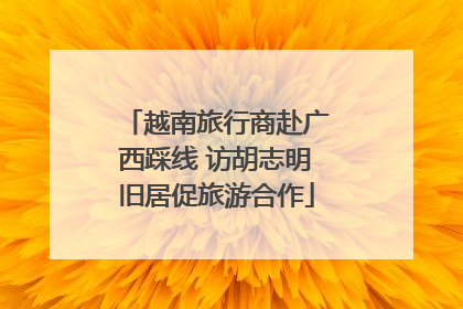 越南旅行商赴广西踩线 访胡志明旧居促旅游合作