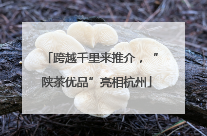 跨越千里来推介，“陕茶优品”亮相杭州
