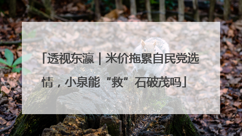 透视东瀛｜米价拖累自民党选情，小泉能“救”石破茂吗