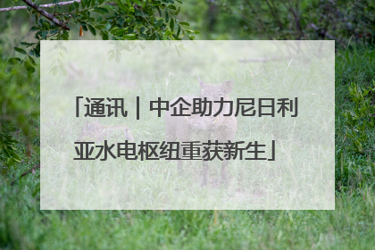 通讯｜中企助力尼日利亚水电枢纽重获新生