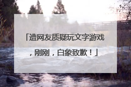 遭网友质疑玩文字游戏，刚刚，白象致歉！
