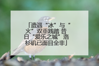 遭遇“冰”与“火”双重践踏 昔日“爱乐之城”洛杉矶已面目全非