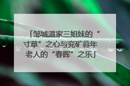 邹城温家三姐妹的“寸草”之心与兖矿暮年老人的“春晖”之乐