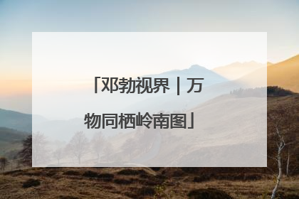 邓勃视界｜万物同栖岭南图