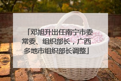 邓旭升出任南宁市委常委、组织部长，广西多地市组织部长调整