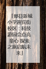 郏县新城小学迎宾街校区：科技游园会点亮童心 探索之旅启航未来
