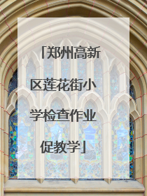 郑州高新区莲花街小学检查作业促教学